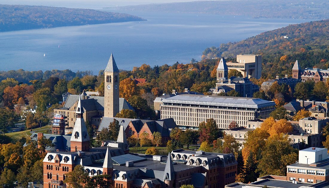 WHY CORNELL?